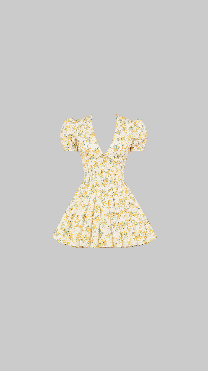Imani Mini Dress