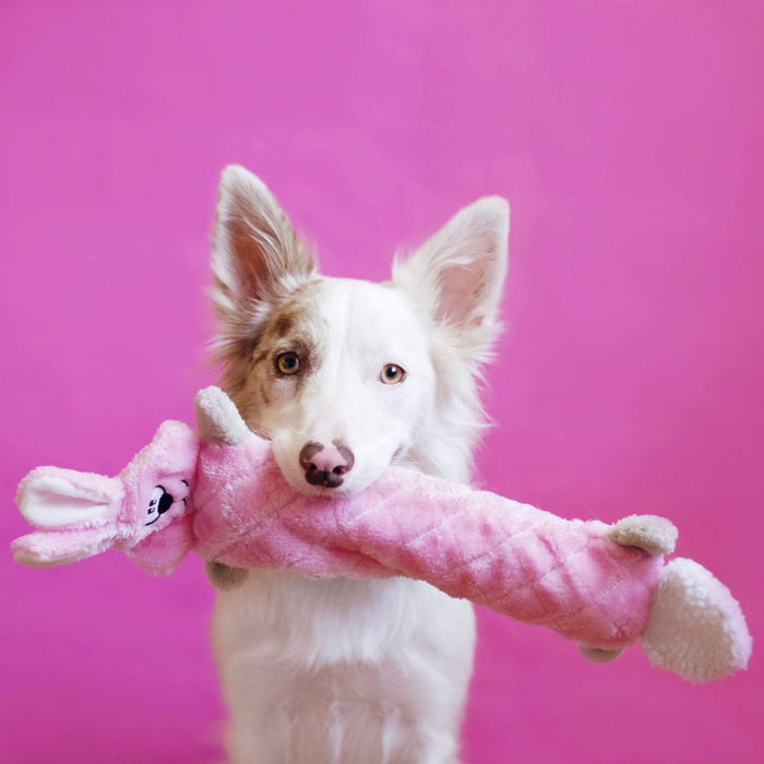 Zippy Paws - Jigglerz - Bunny -