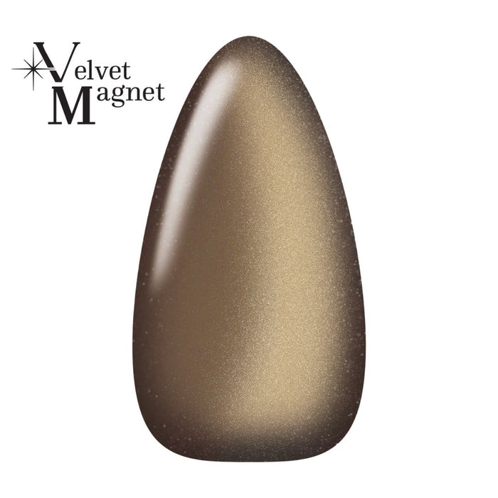 Kokoist Velvet Magnet VM-36 Espresso Magnet Gel KOKOIST