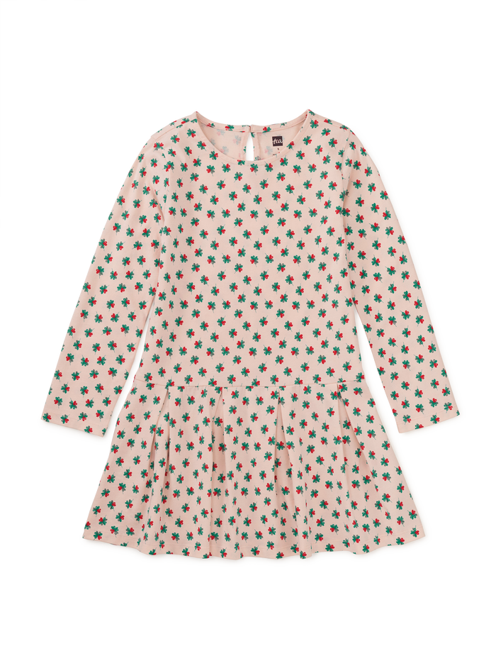 Long Sleeve Pleated Skater Dre