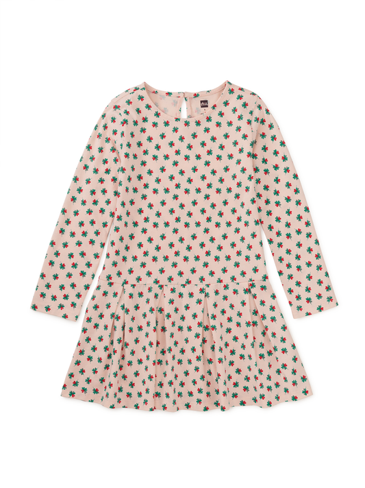 Long Sleeve Pleated Skater Dre