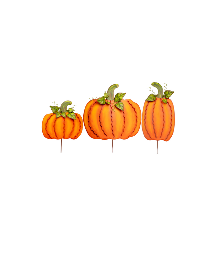 Medium Ribbon Pumpkins