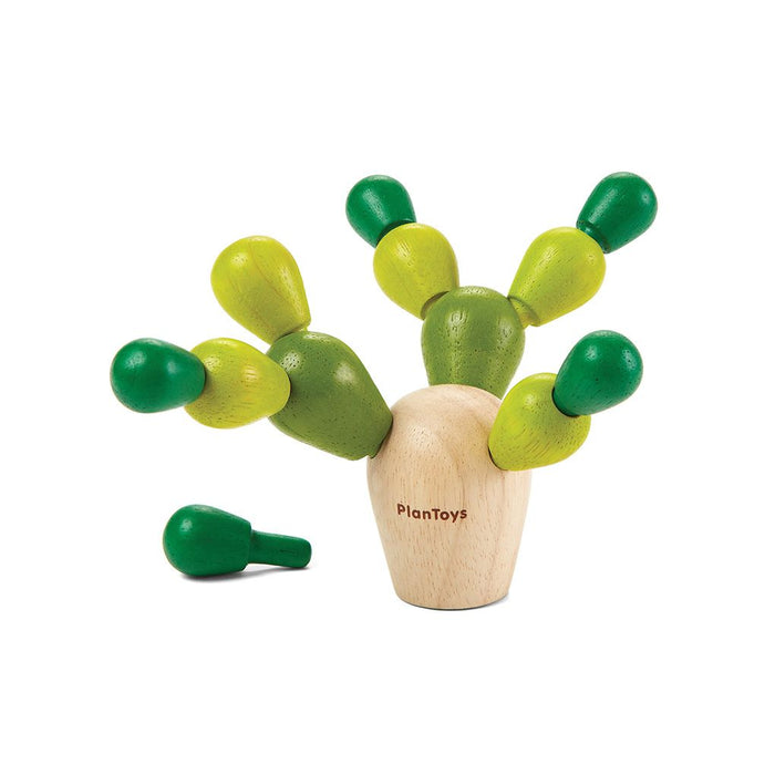 Mini Balancing Cactus - Babies in Bloom