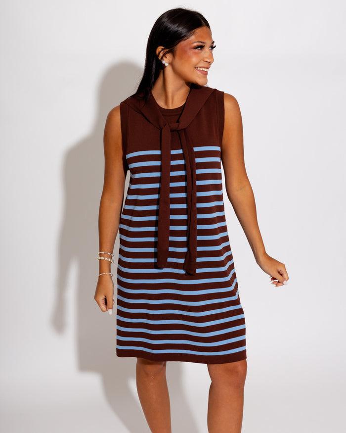 Modern Striped Mini Dress in Chocolate