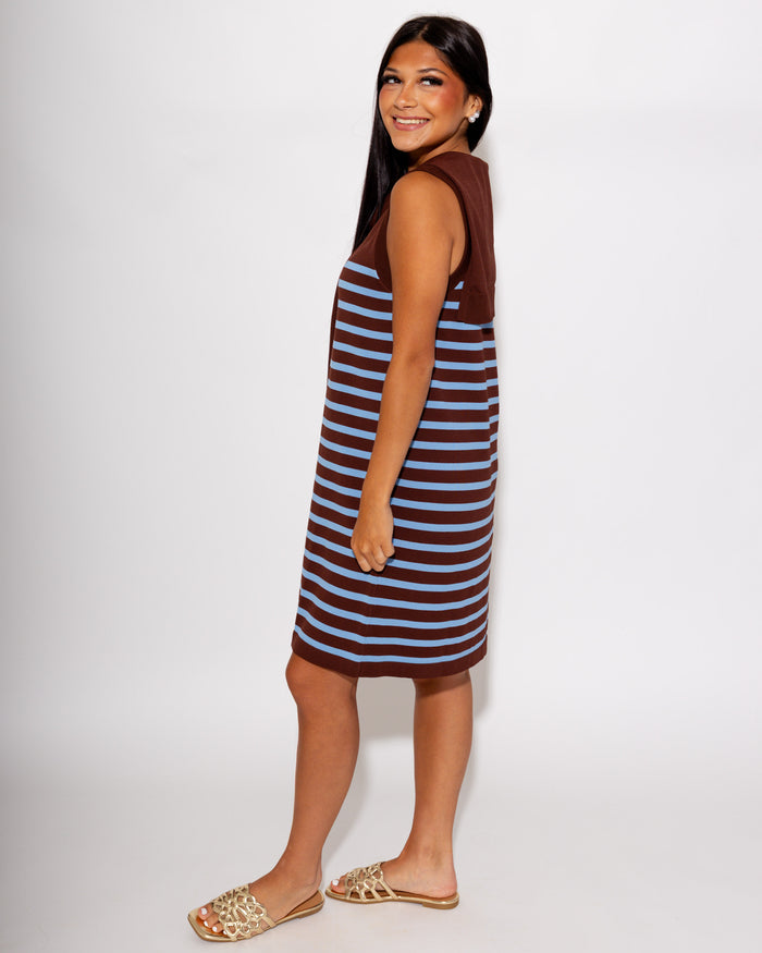 Modern Striped Mini Dress in Chocolate