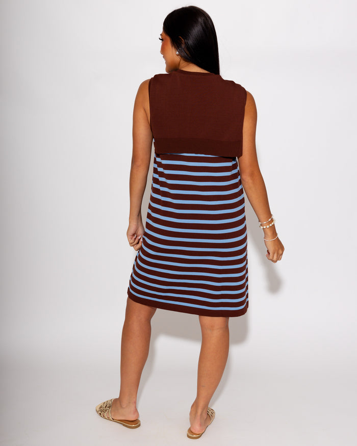 Modern Striped Mini Dress in Chocolate