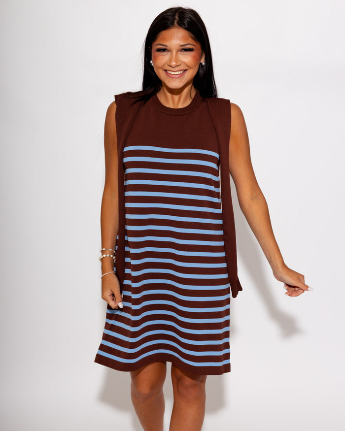 Modern Striped Mini Dress in Chocolate