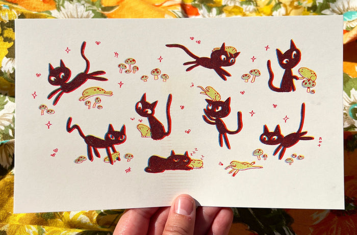Little Black Cats