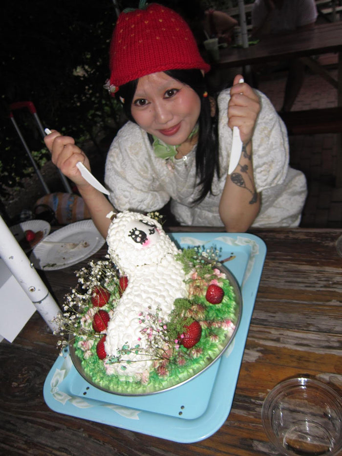 Nibbline: Cake Decorating Workshop (MAY 28) - ACCESS