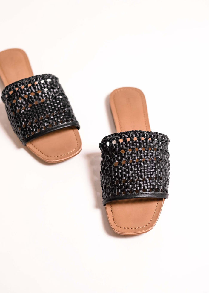 salt + umber - Palm - Black -