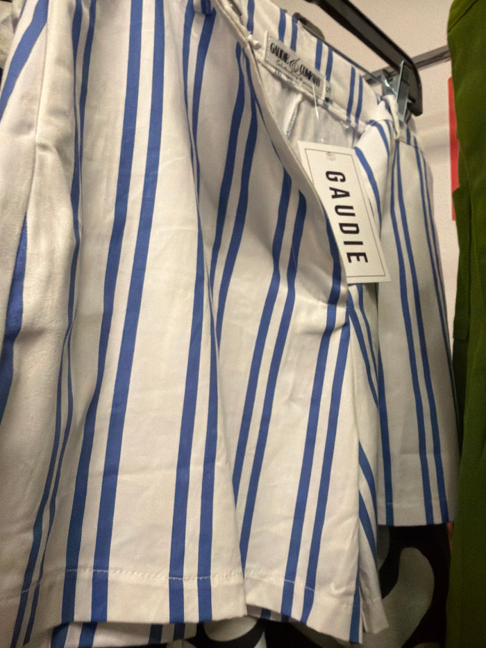 Playful Stripe High Waist Shorts in Blue