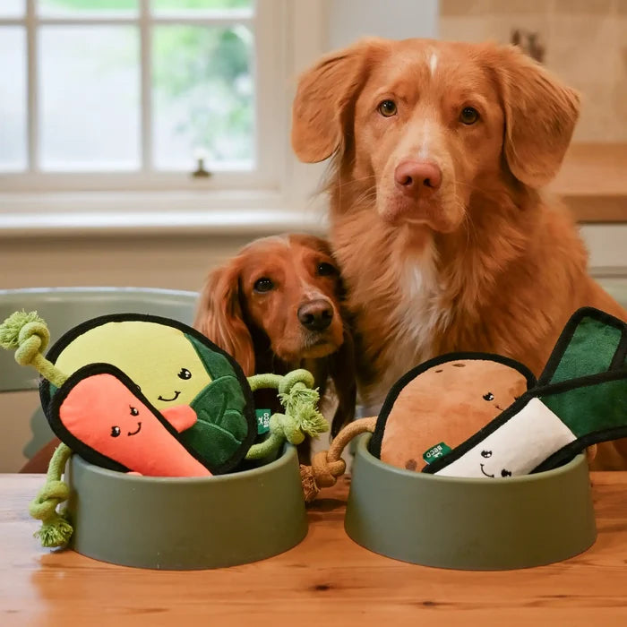 Plush Potato Dog Toy