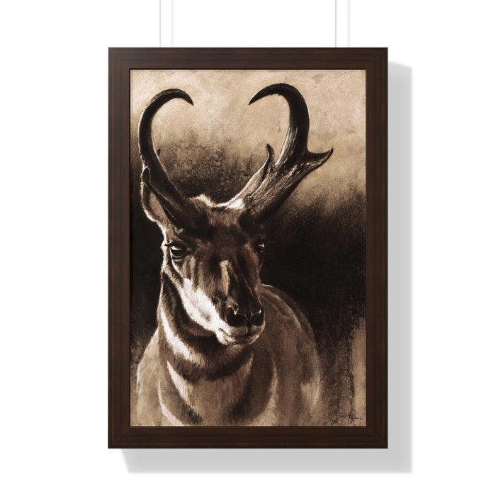"Pronghorn" Framed Paper Print.