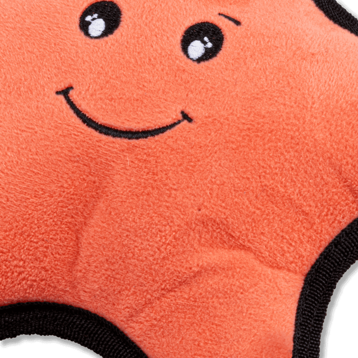 Recycled Rough & Tough Starfish
