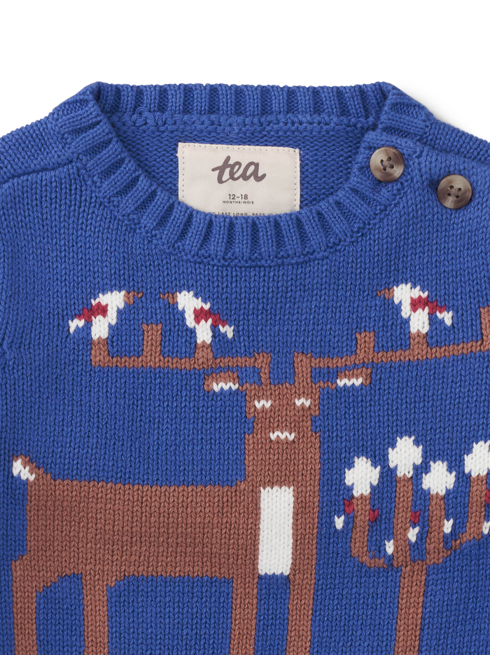 Reindeer Baby Sweater
