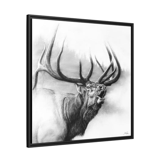 "Rocky Mountain King" Framed Canvas