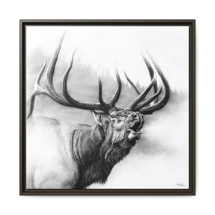 "Rocky Mountain King" Framed Canvas