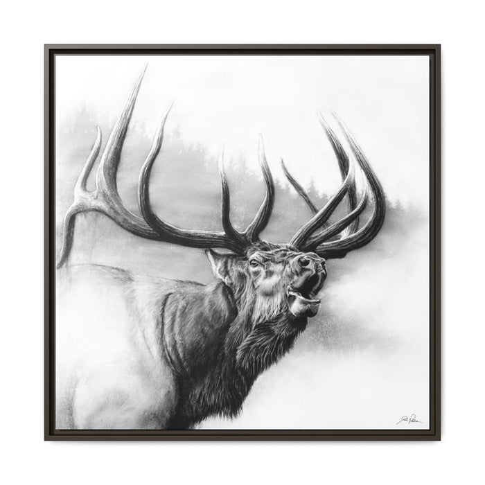 "Rocky Mountain King" Framed Canvas