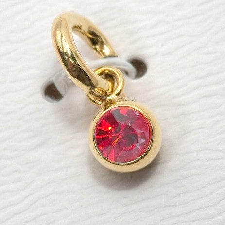 Round Birthstone Charm
