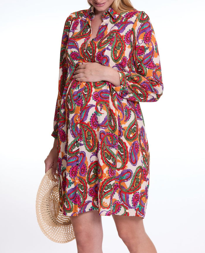 Soledad Maternity and Nursing Shirt Dress