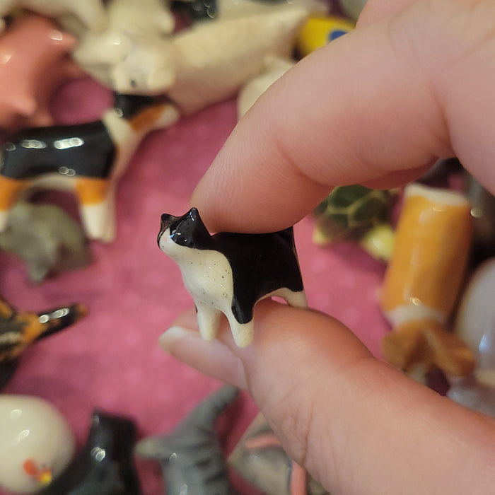 SP - Extra Tiny Tuxedo