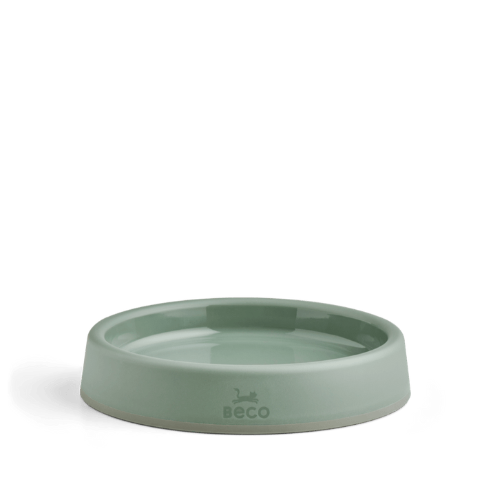 Steady Cat Bowl