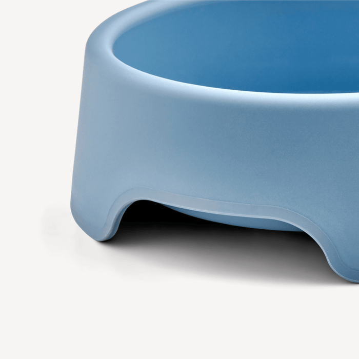Steady Cat Bowl