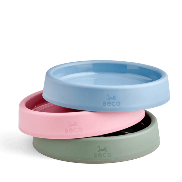 Steady Cat Bowl