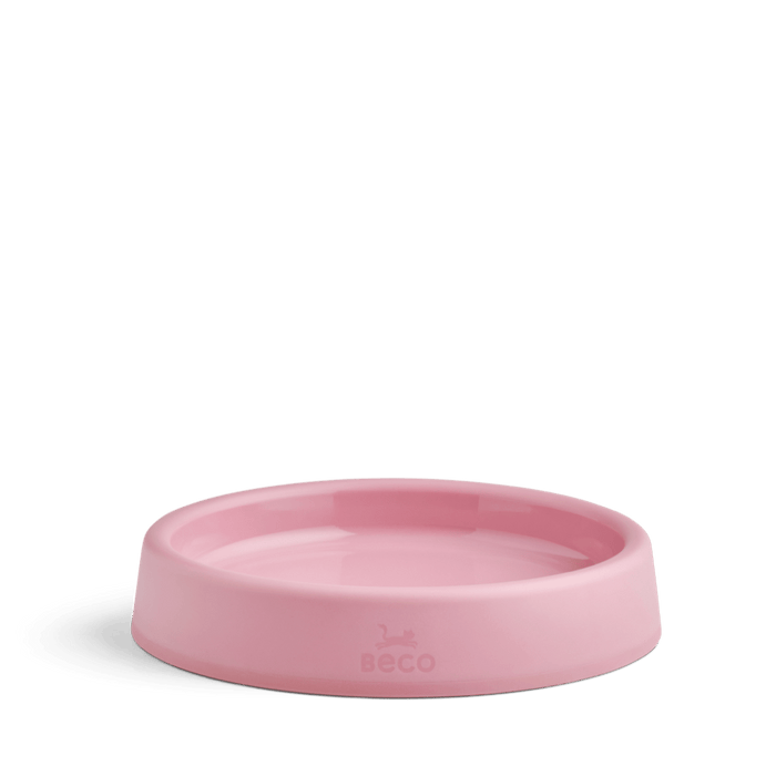 Steady Cat Bowl