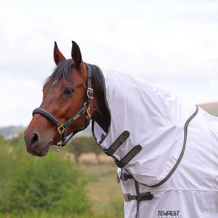 Tempest Original Fly Neck Cover