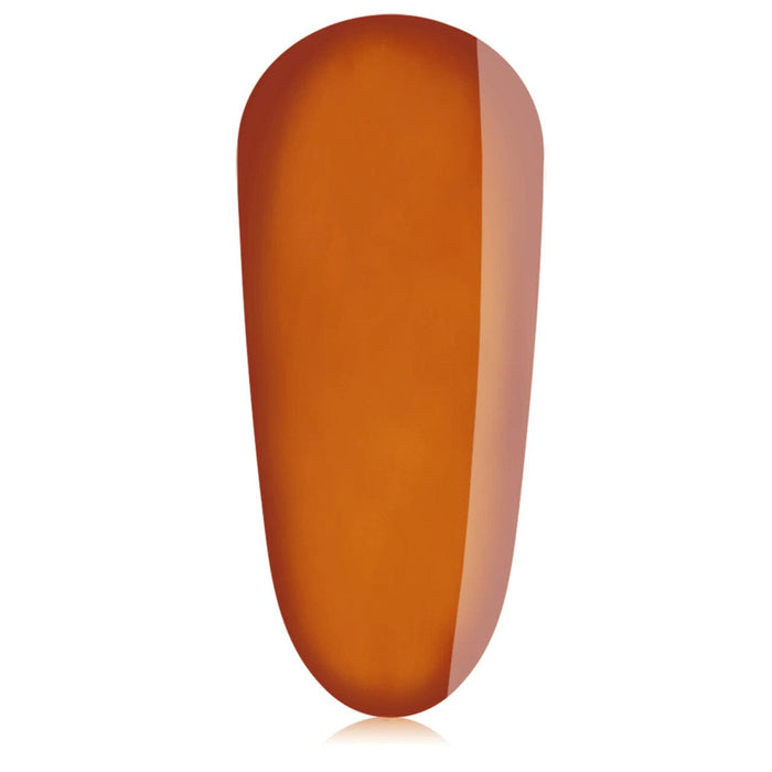 TGB Tortuga, 20 ml Color Gel THE GELBOTTLE