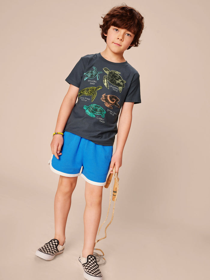 Turtle Discovery Graphic Tee