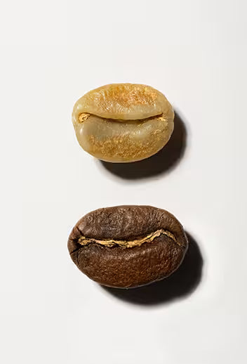 Venezuelan Single Origin - Mérida Washed