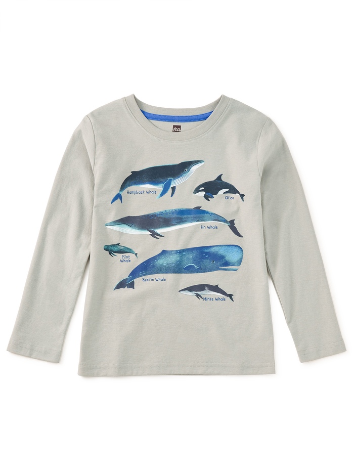 Whale Discovery Graphic Tee