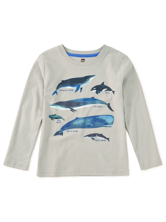 Whale Discovery Graphic Tee