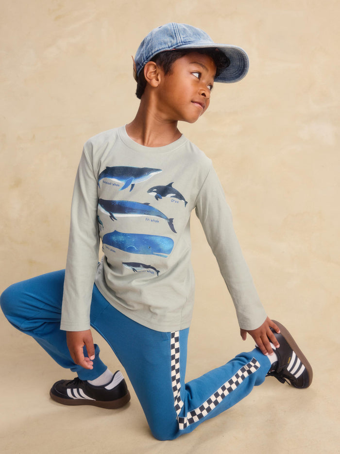 Whale Discovery Graphic Tee