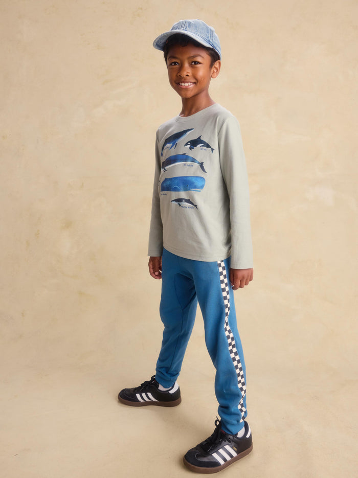 Whale Discovery Graphic Tee