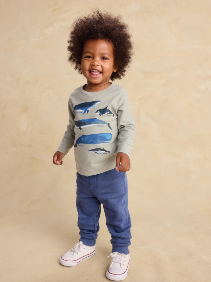 Whale Discovery Graphic Tee