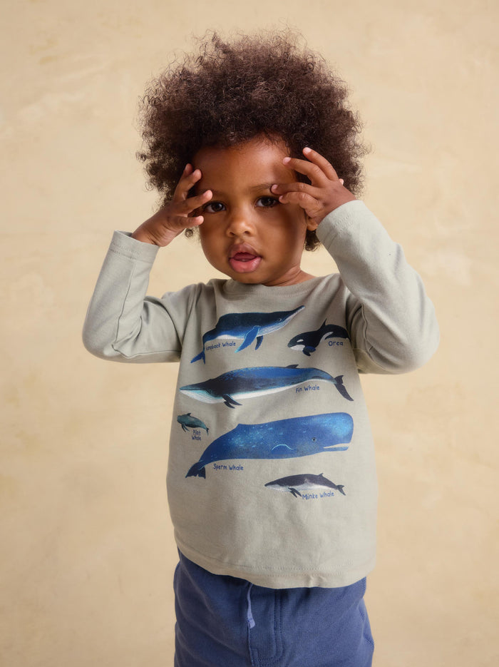 Whale Discovery Graphic Tee