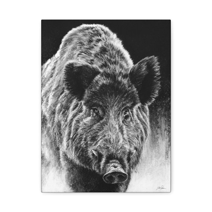 "Wild Boar" Stretched Canvas