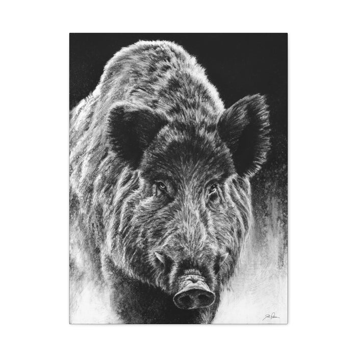 "Wild Boar" Stretched Canvas