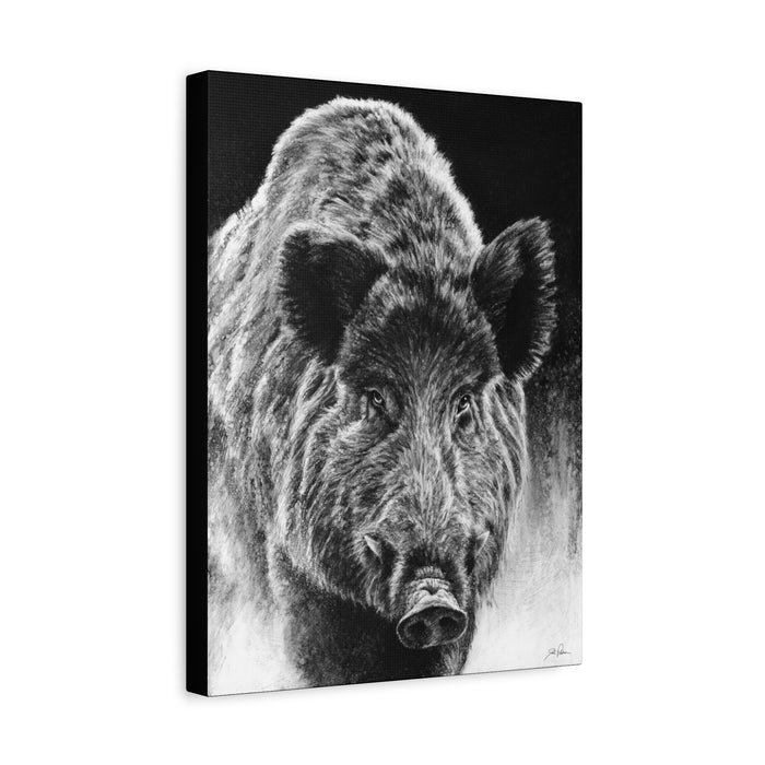 "Wild Boar" Stretched Canvas
