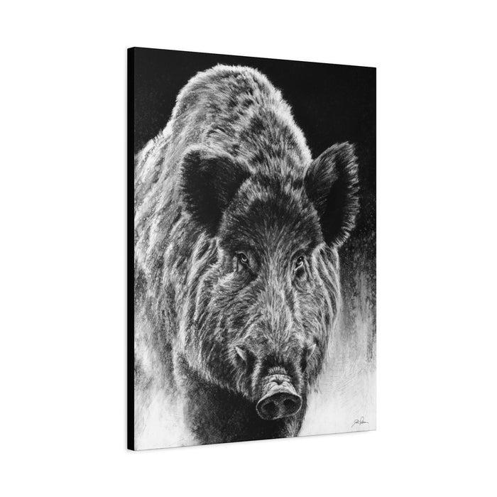 "Wild Boar" Stretched Canvas