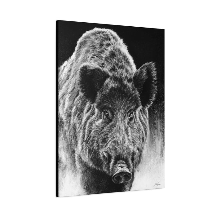 "Wild Boar" Stretched Canvas