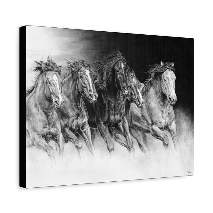 "Wild Bunch" Stretched Canvas
