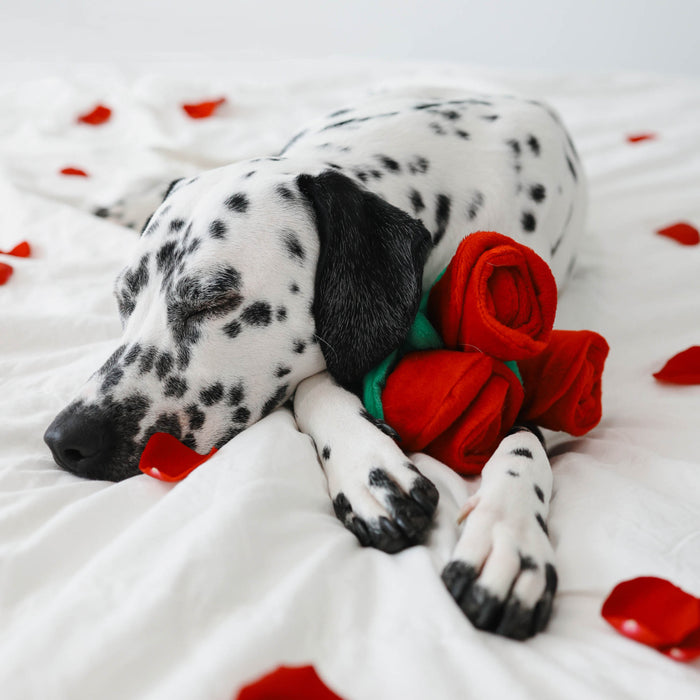 Zippy Paws - Zippy Burrow - Bouquet of Roses -